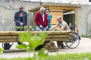 4 personnes handicapées moteurs jardinent autour d'un jardin réhaussé en bois