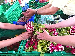 Bénévoles épicerie tri de legumes Mains de trois personnes triant des légumes
