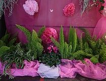 Plantes grasse et détails de décoration pour octobre rose à Annemasse en 2020 - Agrandir l'image, .JPG 39,8 KB (fenêtre modale)