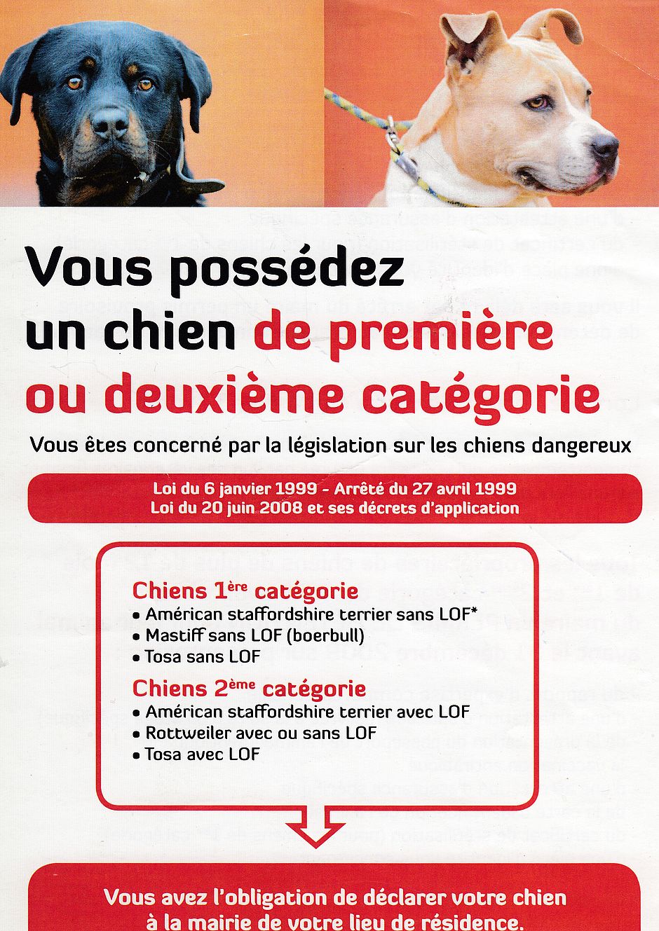 Chien Dangereux Annemasse